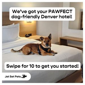 Image post by @jetsetpets on Instagram