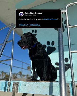 Image post by @labowlgame on Instagram