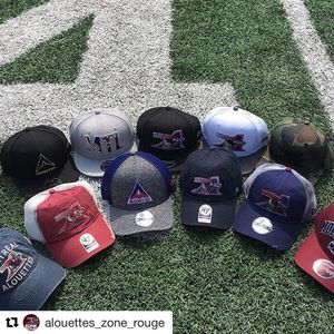 Image post by @mtlalouettes on Instagram
