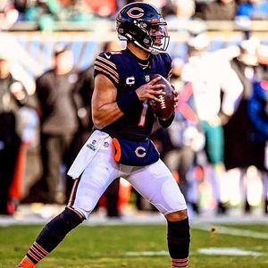 Image post by @bearsszn on Instagram