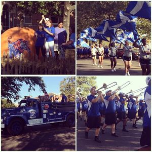 Image post by @uofmemphis on Instagram