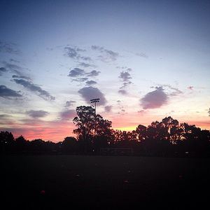 Image post by @stanfordwlax on Instagram