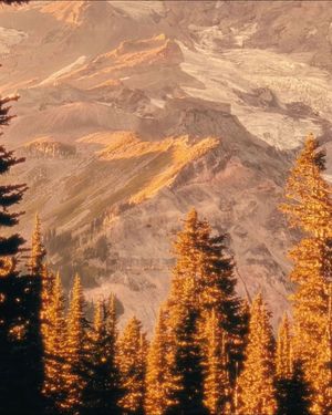 Image post by @goldpeak on Instagram