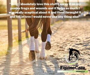 Image post by @equinecareprobiotic on Instagram
