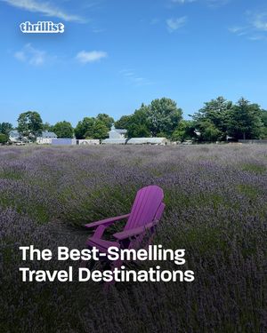 Image post by @thrillist on Instagram