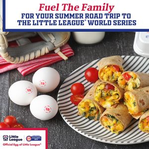 Image post by @littleleague on Instagram