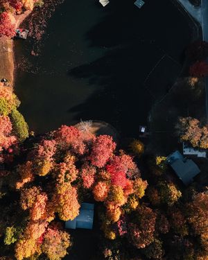 Image post by @drewpeden on Instagram