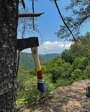 Image post by @motorcityaxe on Instagram