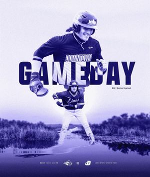 Image post by @emersoncollegebaseball on Instagram