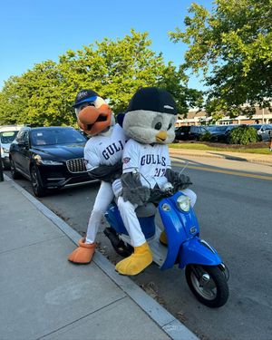 Image post by @newportgulls on Instagram