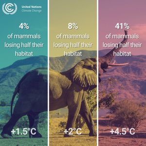 Image post by @unitednations on Instagram