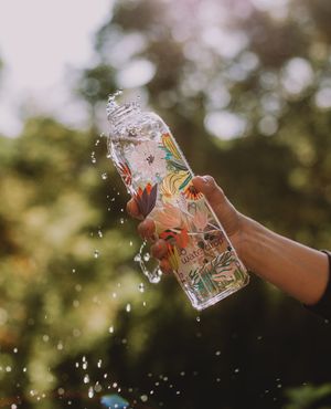 Image post by @waterdrop on Instagram