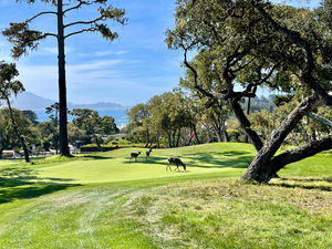 Image post by @pebblebeachresorts on Instagram