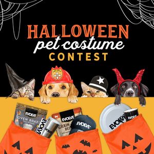 Image post by @evolvepetfood on Instagram