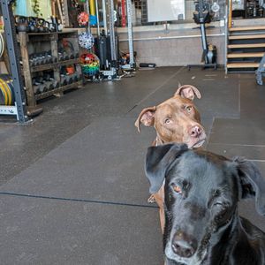 Image post by @chinuptrainingdenver on Instagram