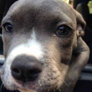 Image post by @kholmeslive on Instagram