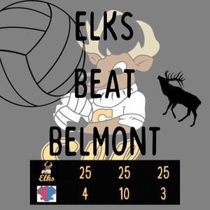Image post by @ladyelksvb on Instagram