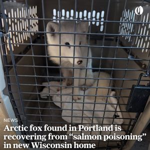 Image post by @theoregonian on Instagram