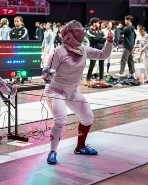 Image post by @templefencing on Instagram