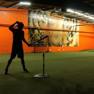 Image post by @rawlingstigers on Instagram