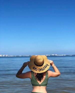 Image post by @visitsarasotacounty on Instagram