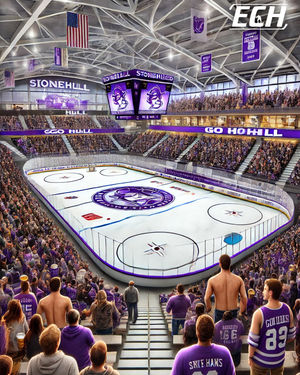 Image post by @everythingcollegehockey on Instagram