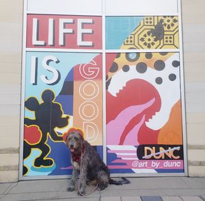 Image post by @thesavannahwolfhound on Instagram