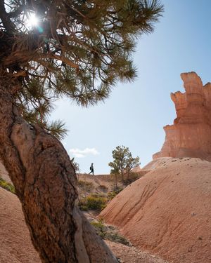 Image post by @nationalparkservice on Instagram