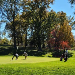 Image post by @gobearcatswgolf on Instagram