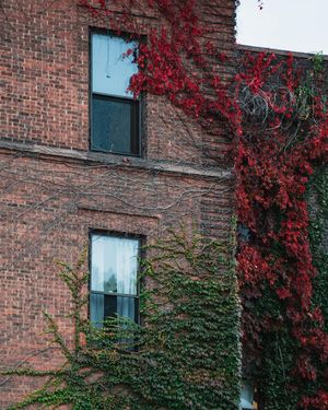 Image post by @n.dambro_ on Instagram