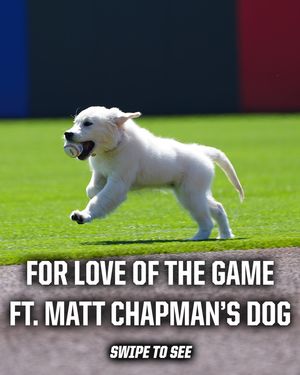 Image post by @mlb on Instagram