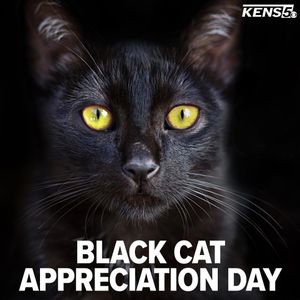 Image post by @kens5 on Instagram