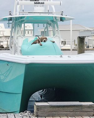 Image post by @freemanboatworks on Instagram