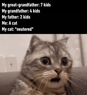 Image post by @9gag on Instagram