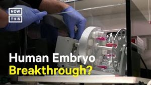 Video post by @nowthisnews on YouTube