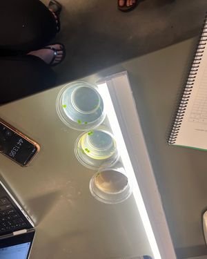 Image post by @marshallulife on Instagram