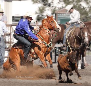 Image post by @ellensburgrodeo on Instagram