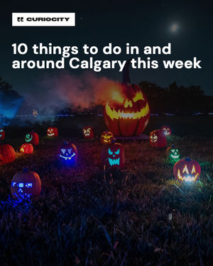 Image post by @curiocitycalgary on Instagram