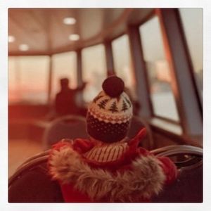Image post by @paigeb on Instagram