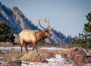 Image post by @bouldermagazine on Instagram