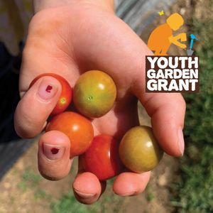 Image post by @kidsgardening on Instagram