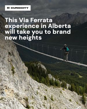 Image post by @curiocitycalgary on Instagram
