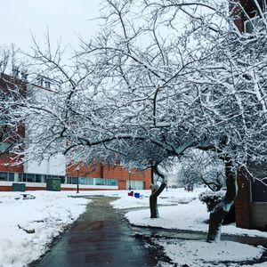Image post by @redhawklife on Instagram