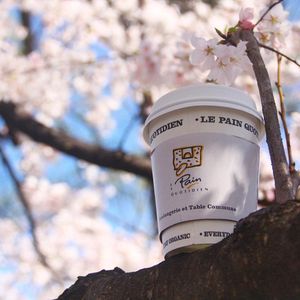 Image post by @lepainquotidienus on Instagram