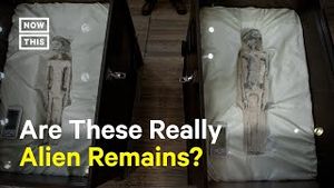 Video post by @nowthisnews on YouTube