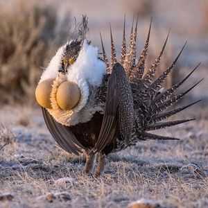 Image post by @discovery on Instagram