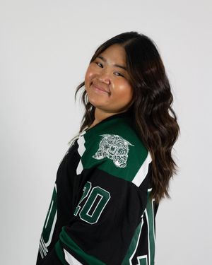 Image post by @ohiohockeyd2 on Instagram