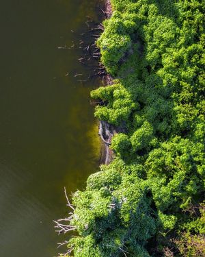 Image post by @visitsarasotacounty on Instagram