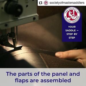 Image post by @performancesaddlefitssthsydney on Instagram