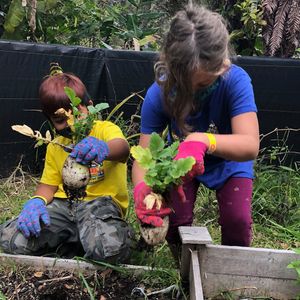 Image post by @kidsgardening on Instagram